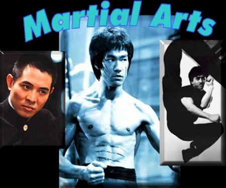 les arts martiaux